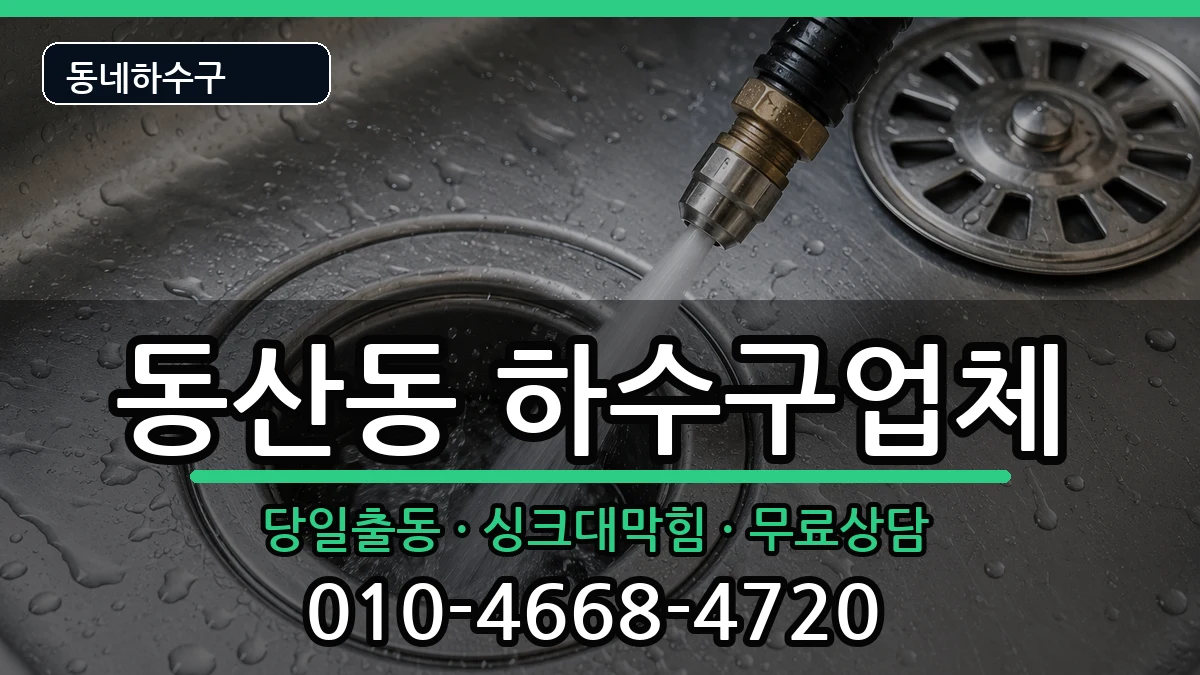 경기고양시덕양구동산동 하수구막힘 증상 처리 안내 이미지 3