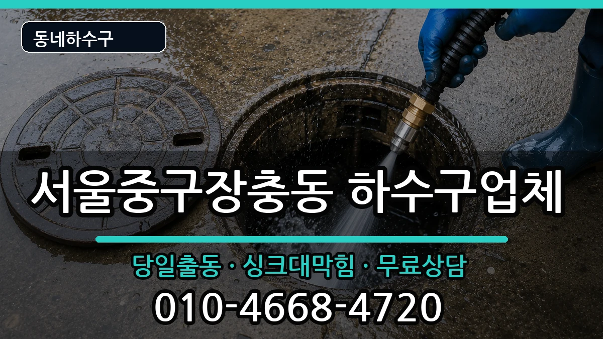 서울중구장충동 하수구막힘 서울중구장충동 하수구막힘 증상 처리 안내 이미지 3